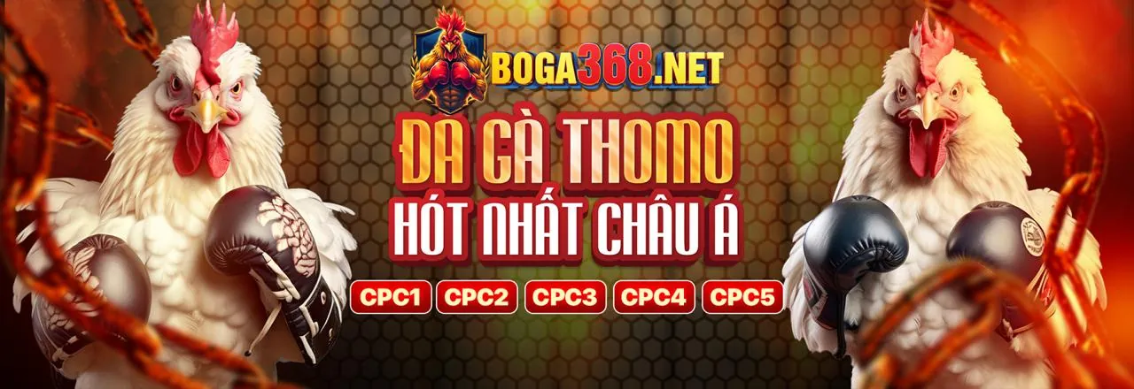 Tổng quan các ưu đãi và khuyến mãi hấp dẫn từ mibet nhà cái