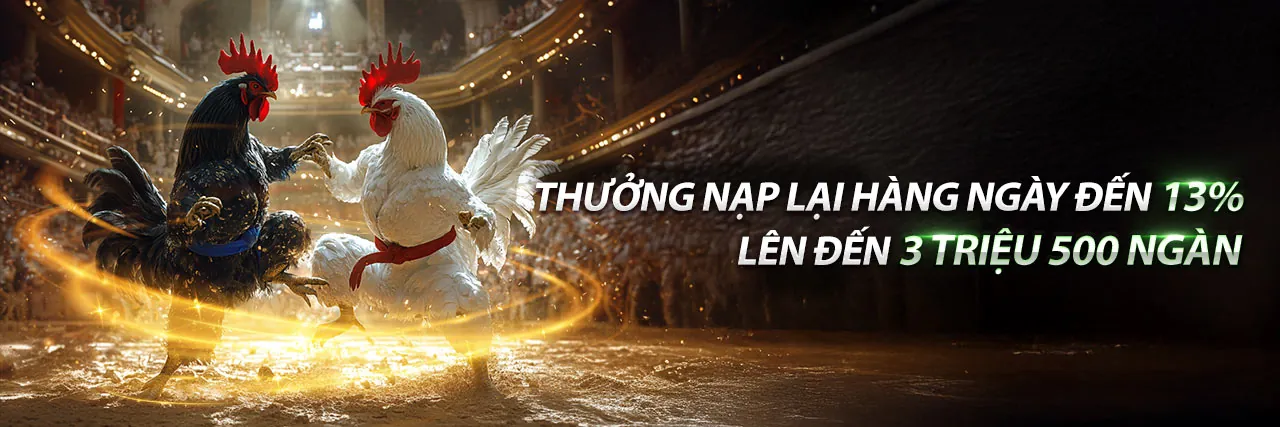 Trải nghiệm đá gà trực tuyến kịch tính tại mibet nhà cái